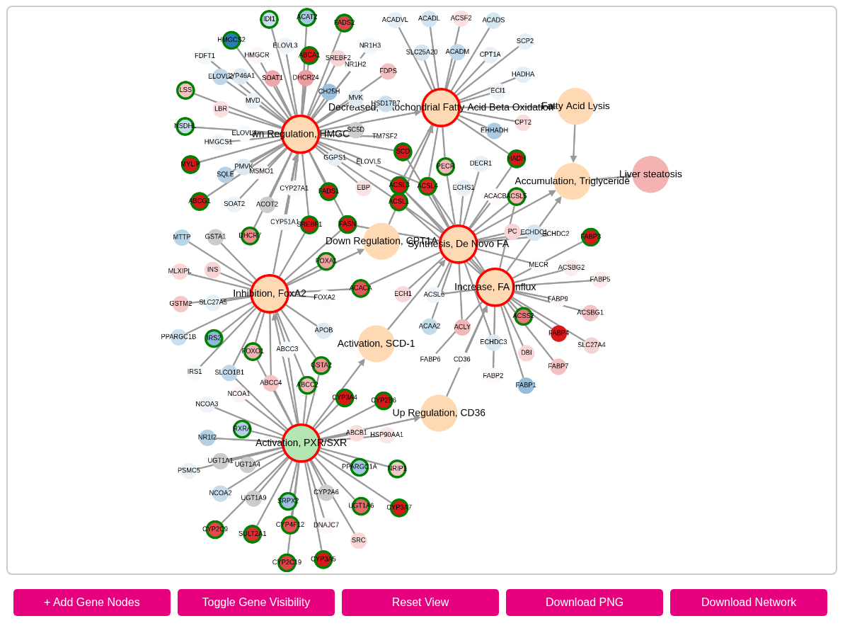 molaopanalyser-outputnetwork
